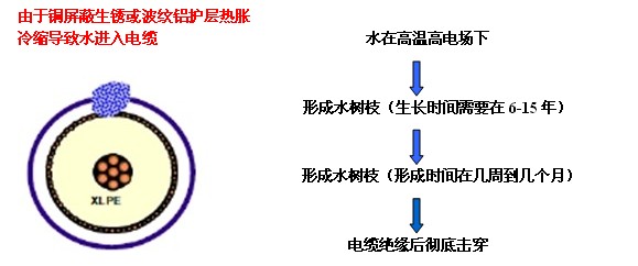 故障点水树枝